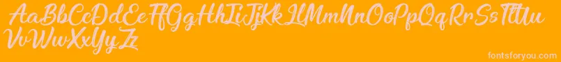 EnchantingCelebrations Font – Pink Fonts on Orange Background