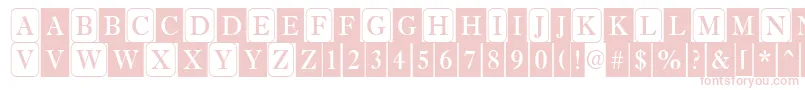 AAntiquetrdcmdc2cb Font – Pink Fonts