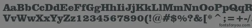 ClarendonBlackBt Font – Black Fonts on Gray Background