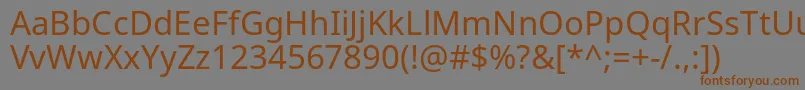 NotosansRegular Font – Brown Fonts on Gray Background