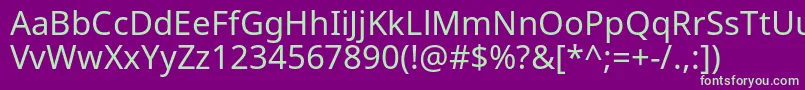 NotosansRegular Font – Green Fonts on Purple Background