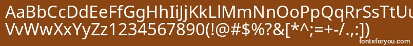 NotosansRegular Font – White Fonts on Brown Background