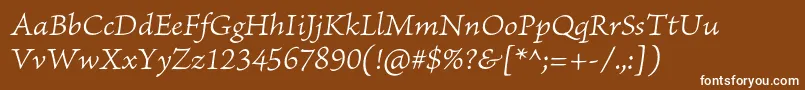 BriosoproLightitcapt Font – White Fonts on Brown Background