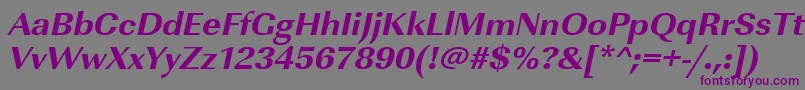 UrwimperialtextbolwidOblique Font – Purple Fonts on Gray Background