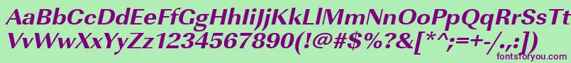 UrwimperialtextbolwidOblique Font – Purple Fonts on Green Background