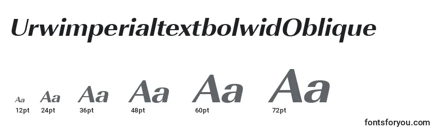 Размеры шрифта UrwimperialtextbolwidOblique