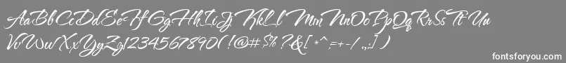 ThenautigalRob Font – White Fonts on Gray Background