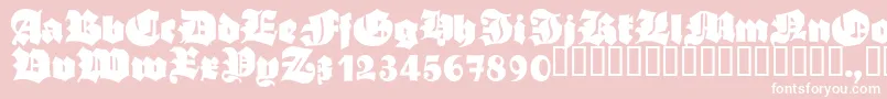 AsgardianwarsBlack Font – White Fonts on Pink Background