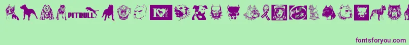 BewareOfPitbull Font – Purple Fonts on Green Background