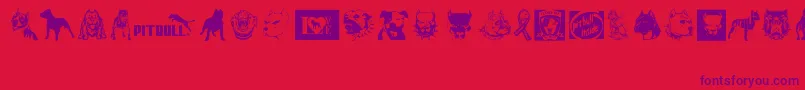 BewareOfPitbull Font – Purple Fonts on Red Background