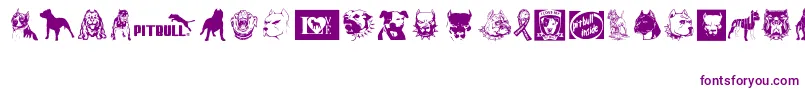 BewareOfPitbull Font – Purple Fonts on White Background