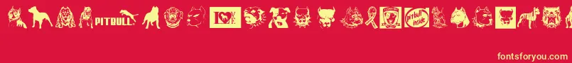 BewareOfPitbull Font – Yellow Fonts on Red Background