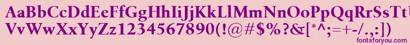 BirkaBold Font – Purple Fonts on Pink Background