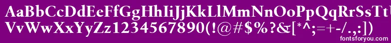 フォントBirkaBold – 紫の背景に白い文字