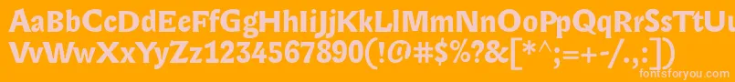 LexongothicBold Font – Pink Fonts on Orange Background