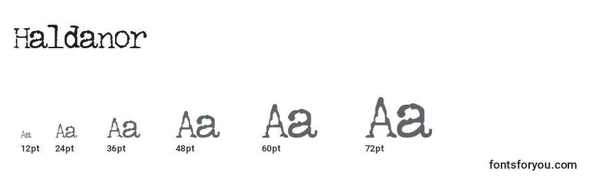 Размеры шрифта Haldanor