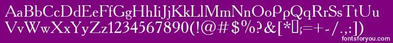 Academy.Kz Font – White Fonts on Purple Background