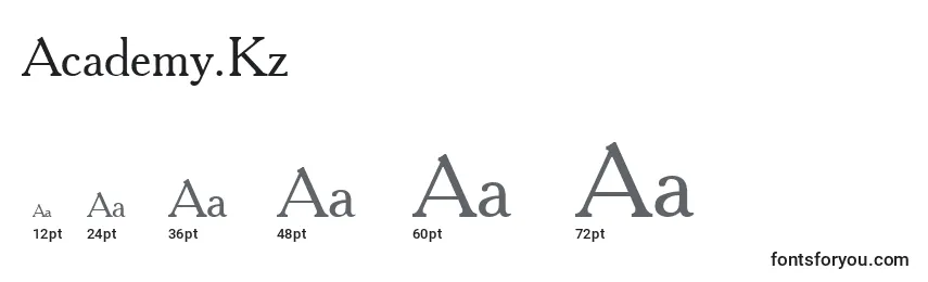 Academy.Kz Font Sizes