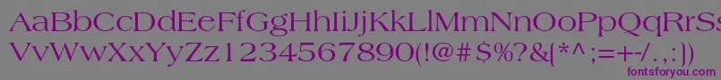Americanastd-fontti – violetit fontit harmaalla taustalla