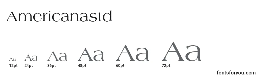 Americanastd Font Sizes