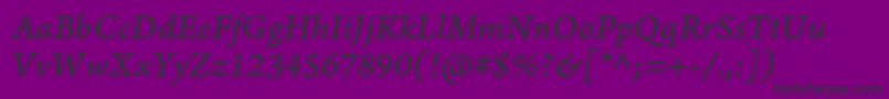 ArnoproItaliccaption Font – Black Fonts on Purple Background