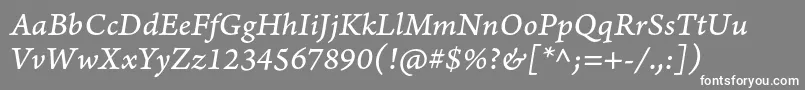 ArnoproItaliccaption Font – White Fonts on Gray Background