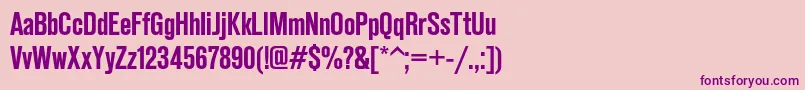 Reformagroteskdemic Font – Purple Fonts on Pink Background