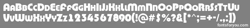 ABighaustitulExtrabold Font – White Fonts on Gray Background