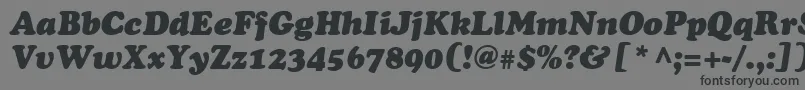 フォントCooperItalic – 黒い文字の灰色の背景