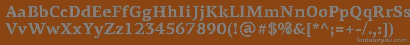 フォントPfagoraserifproBold – 茶色の背景に灰色の文字