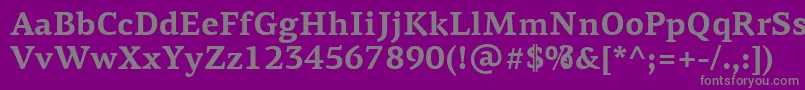 PfagoraserifproBold Font – Gray Fonts on Purple Background