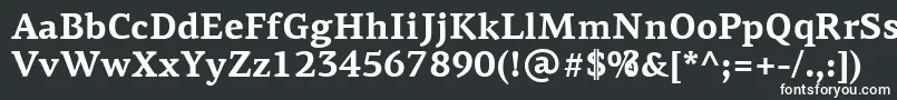 フォントPfagoraserifproBold – 黒い背景に白い文字