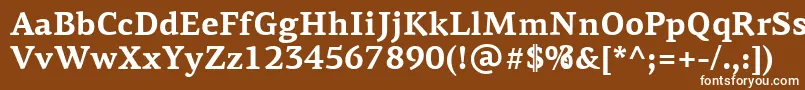 フォントPfagoraserifproBold – 茶色の背景に白い文字