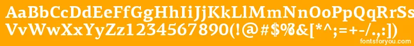 フォントPfagoraserifproBold – オレンジの背景に白い文字