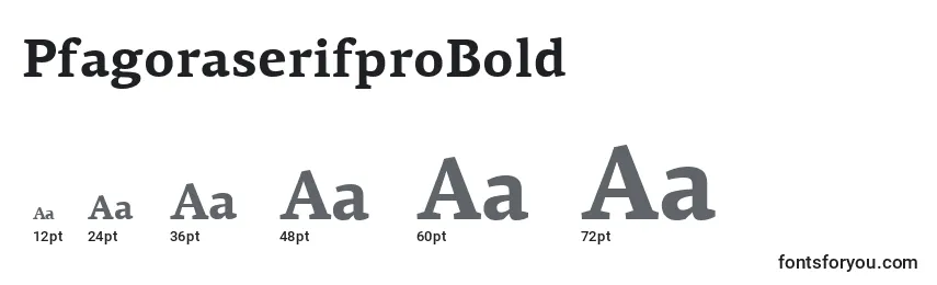 Размеры шрифта PfagoraserifproBold