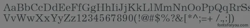 ExcelsiorCyrillicUpright Font – Black Fonts on Gray Background