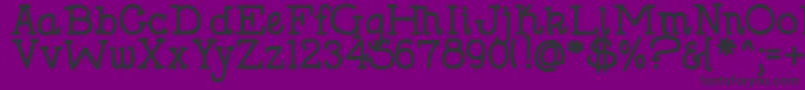 DjbHollySerifBold Font – Black Fonts on Purple Background