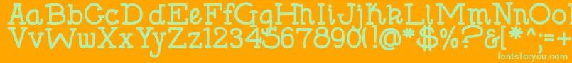 DjbHollySerifBold Font – Green Fonts on Orange Background