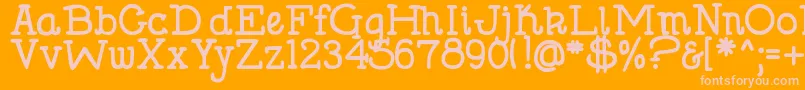 DjbHollySerifBold Font – Pink Fonts on Orange Background