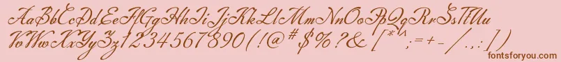 Machia Font – Brown Fonts on Pink Background