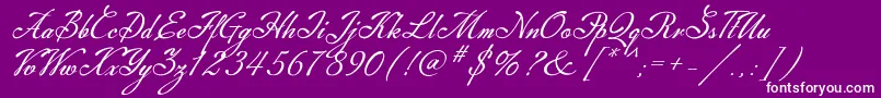 Machia Font – White Fonts on Purple Background