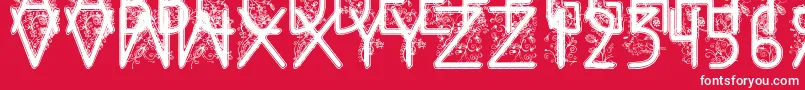 FloralFlower Font – White Fonts on Red Background