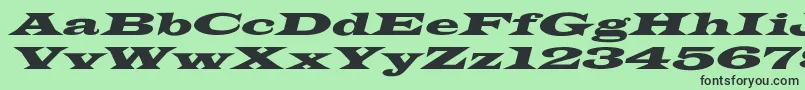 More about LatinWideextoblNormal Font LatinWideextoblNormal Font – Black Fonts on Green Background