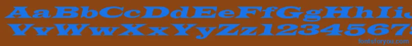 Шрифт LatinWideextoblNormal – синие шрифты на коричневом фоне