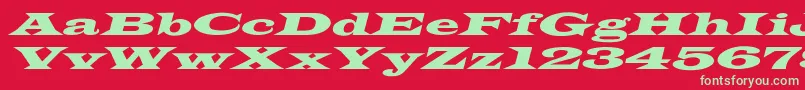 LatinWideextoblNormal Font – Green Fonts on Red Background