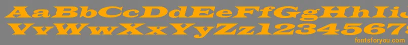 LatinWideextoblNormal-Schriftart – Orangefarbene Schriften auf grauem Hintergrund