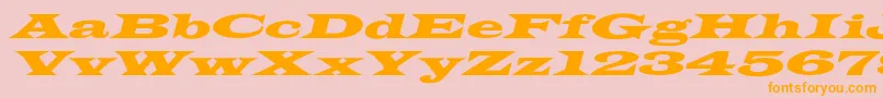 LatinWideextoblNormal Font – Orange Fonts on Pink Background