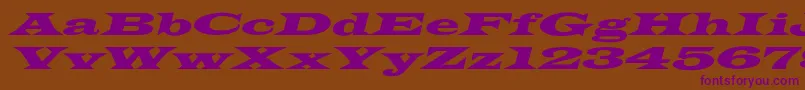 LatinWideextoblNormal Font – Purple Fonts on Brown Background