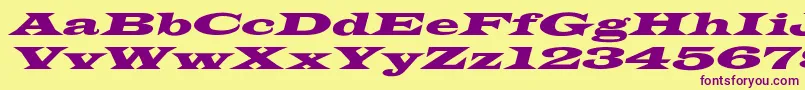 LatinWideextoblNormal Font – Purple Fonts on Yellow Background