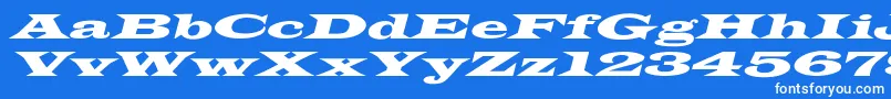 Czcionka LatinWideextoblNormal – białe czcionki na niebieskim tle